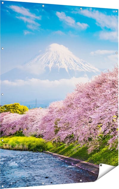 Gards Tuinposter Roze Bloesembomen bij de Fuji Berg - 120x160 cm - Tuindoek - Tuindecoratie - Wanddecoratie buiten - Tuinschilderij