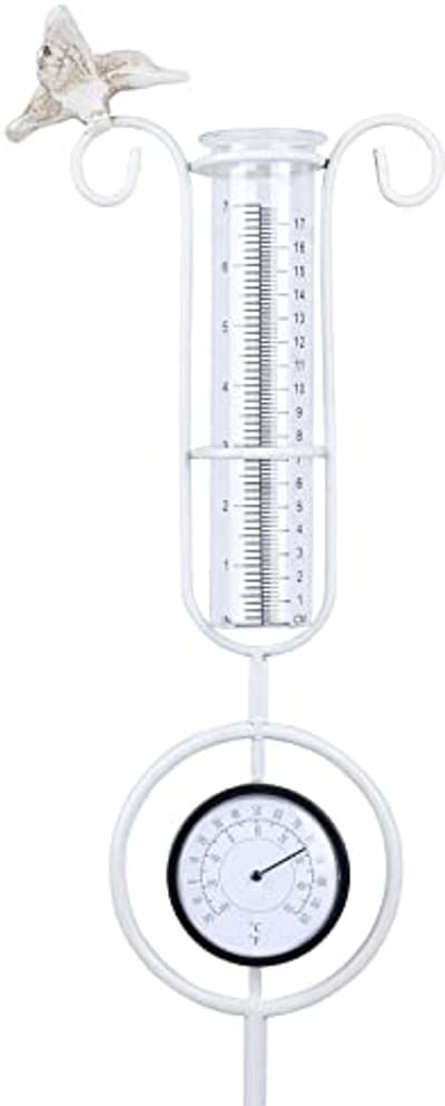 Buitenmetingen Regenmeter met Thermometer voor Tuin en Buitengebied