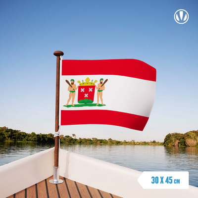 Vlag Bergen op Zoom 30x45cm