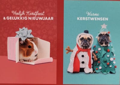 10 Kerstkaarten hondjes en cavia - 10 Kaarten met enveloppen voor Kerst - Warme Kerstwensen