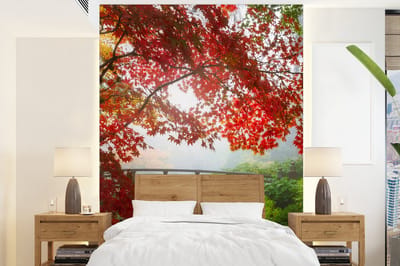 Behang - Fotobehang Japanse esdoorn - Bomen - Brug - Natuur - Japans - Breedte 195 cm x hoogte 260 cm