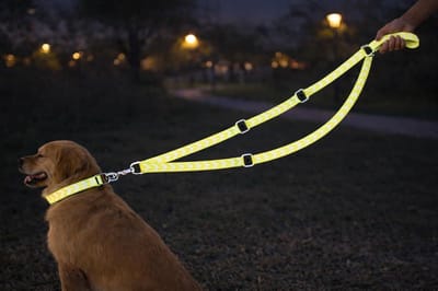 Hondenriem – trainingslijn Fergu Fluo geel 200 cm – 25 mm breed – verstelbaar – handenvrij – nylon – reflecterend