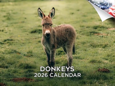 Ezels Kalender - Boerderijdier Kalender - Maandelijkse Planning - Dikke Papier Kwaliteit - 12 x 18 Open