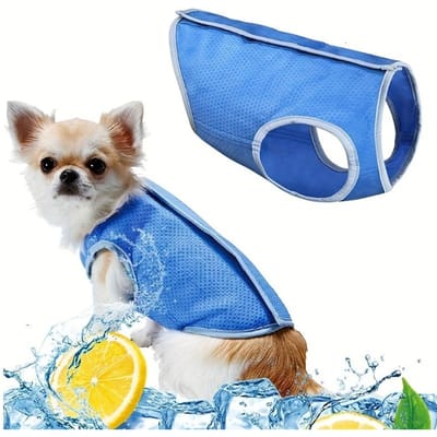 Letvia Gilet de Refroidissement d'Été pour Chien Chiots Chats Veste Manteau de Refroidissement Soulagement de la Chaleur Gilet pour Animal de Compagnie Vêtements pour Chien Animal de Compagnie Confort de Refroidissement Gilet à Glace (Blue,L) bleu