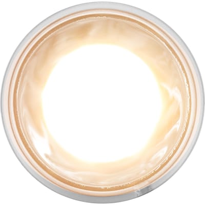 Ampoules Lampe Chauffante Bain de Soleil Reptiles Amphibien UBA UVB Lampe Bain de Soleil pour Lézard 25W 220V beige