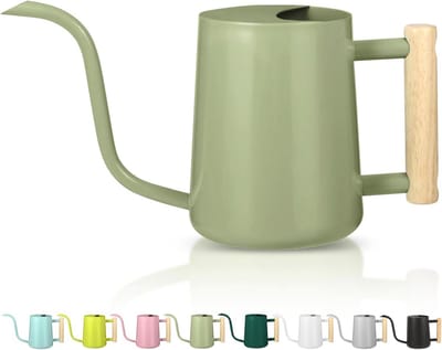 Kleine roestvrijstalen gieter voor kamerplanten - 35 oz moderne decoratieve gieter met lange uitloop
