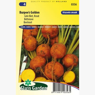 Sluis Garden - Rode Bieten geel Burpee's Golden