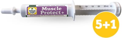 Vitalstyle MuscleProtect+ - Paarden Supplementen - Beschermt de Spieren bij Inspanning en Piekprestaties - Voordeelverpakking - 6 x 30ml