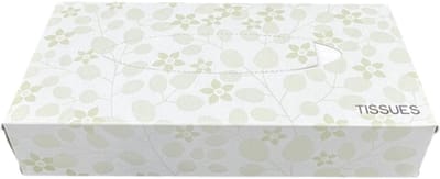 Tissues |100 st | 2 lgs | Facial Cellulose | Gezichtsdoekjes | Premium | Handdoekjes | Dispensersdoos | Zakdoekjes