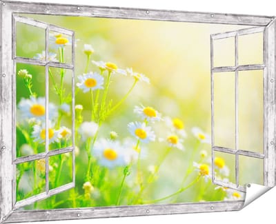 Gards Tuinposter Doorkijk Witte Kamille Bloemen met Zonneschijn - 180x120 cm - Tuindoek - Tuindecoratie - Wanddecoratie buiten - Tuinschilderij
