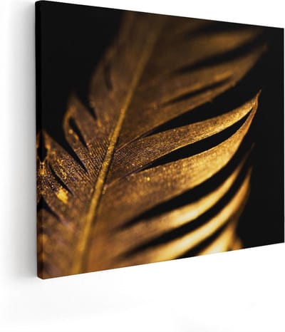 Artaza Canvas Schilderij Gouden Veer - 50x40 cm - Muurdecoratie Abstract - Wanddecoratie Woonkamer - Schilderijen Op Canvas