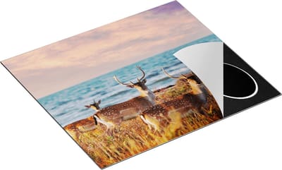 Chefcare Inductie Beschermer Drie Herten aan de Zee tijdens Zonsondergang - 60x50 cm - Afdekplaat Inductie - Kookplaat Beschermer - Inductie Mat