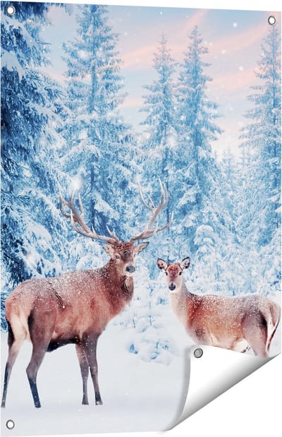 Gards Tuinposter Twee Herten in het Bos met Sneeuw - 60x80 cm - Tuindoek - Tuindecoratie - Wanddecoratie buiten - Tuinschilderij