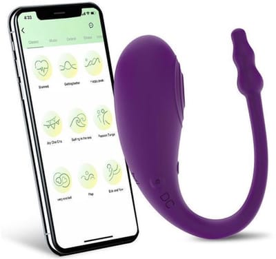 G-Spot-Dildo-Vaginale-Massage-Waterdicht-Slipje-Kogel-Ei-Vibrator-Clit-Volwassen - 001