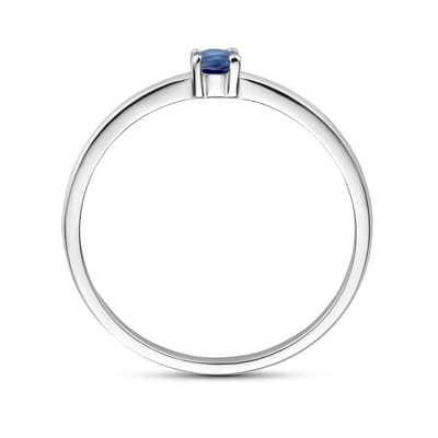 Gerhodineerd Zilver Ring Met Geboortesteen Saffier September 1337050