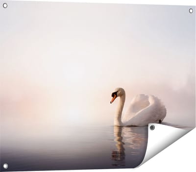 Gards Tuinposter Zwaan in het Water tijdens de Mist - 80x60 cm - Tuindoek - Tuindecoratie - Wanddecoratie buiten - Tuinschilderij