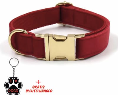 SilverAndCoco® - Rode Honden Halsband met Gratis Sleutelhanger | Velvet Hond Bandje | Hondenhalsband Suède Gouden | Kleding Decoratie | Hondenbandje Huisdier - Rood / Goud