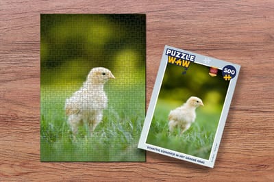 Puzzel Schattig kuikentje in het groene gras - Legpuzzel - Puzzel 500 stukjes
