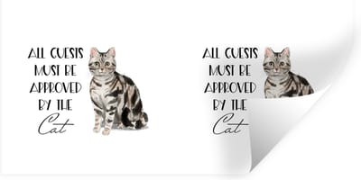 Muurstickers - Sticker Folie - Quotes - Katten - Spreuken - All guests must be approved by the cat - 40x20 cm - Plakfolie - Muurstickers Kinderkamer - Zelfklevend Behang - Zelfklevend behangpapier - Stickerfolie