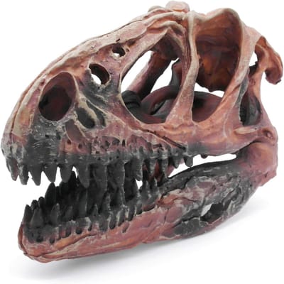 SnelShoppen - Aquarium Decoratie Dinosaurus Skelet Grotten Ornament 24 cm - Betta, Tarantula, Reptielen en Terrarium Decor - Handgeschilderd Kunststof