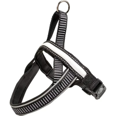 Duvoplus - Hondentuigje - Hond - Explor City Paris Harnas Led Nylon S - 49-50cm/25mm Zwart - 1st