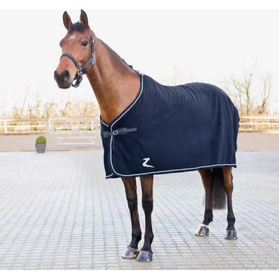 Het drogen van paardenvacht Horze