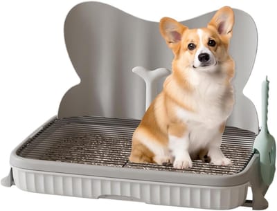 Hondentoilet, hondenbadkamer puppy potje | Sterk dragend plasstation, multifunctioneel hondenpotje trainingsbak, indoor hondenpotjes voor hond, puppy