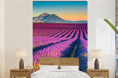 Behang - Fotobehang Lavendel - Berg - Bloemen - Breedte 155 cm x hoogte 240 cm