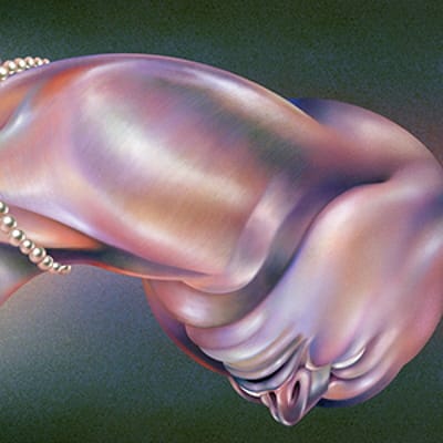 Walt Disco - The Warping (CD)