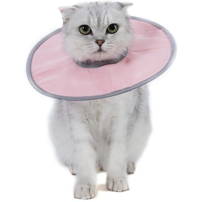 Kattenkegelhalsband Stop Likken Verstelbare Geribbelde Hals Herstelhalsband Large