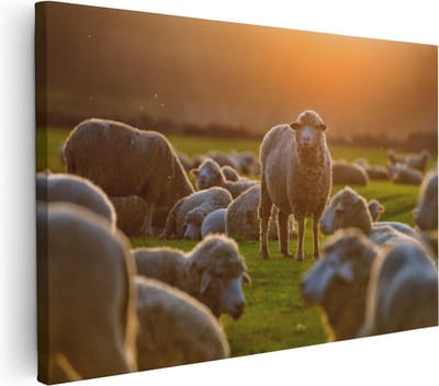 Artaza Canvas Schilderij Kudde Schapen - 30x20 cm - Klein - Muurdecoratie Landschap - Wanddecoratie Boerderij - Schilderijen Op Canvas