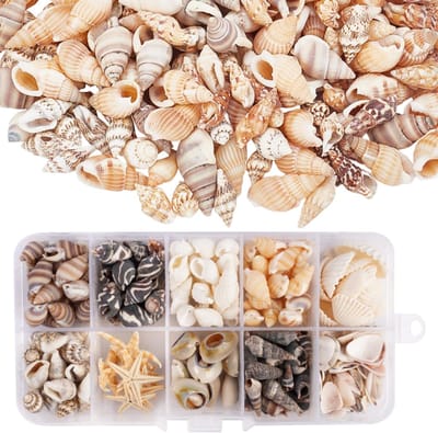 210 Zeeschelpen (10 Soorten) 90g Natuurlijke Schelpen Zonder Gaten Met Opbergdoos Zeester Schelpendecoratie Voor DIY Knutselen, Bruiloftdecoratie, Vistank, Strandfeesten & Vaasvullers (Mengsel)