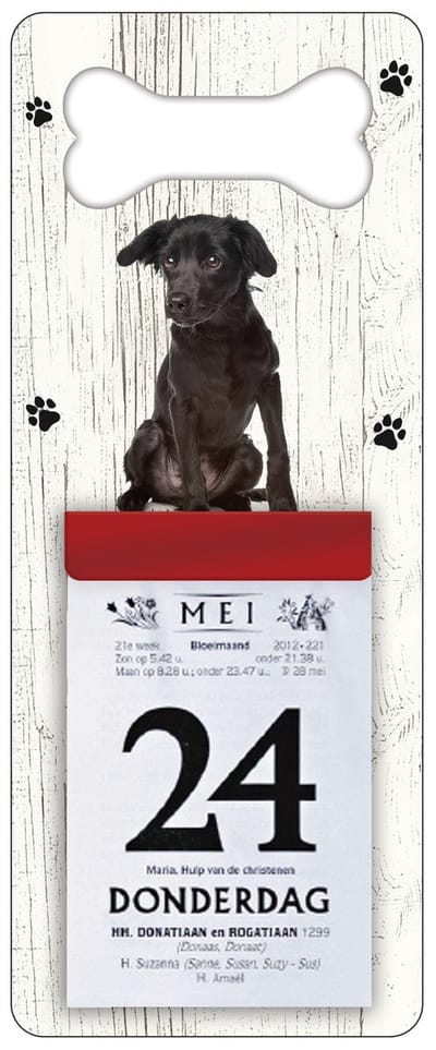Scheurkalender 2027 Hond - Markiesje