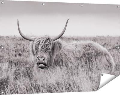 Gards Tuinposter Schotse Hooglander Koe - Zwart Wit - 120x80 cm - Tuindoek - Tuindecoratie - Wanddecoratie buiten - Tuinschilderij