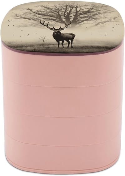 Sieraden Organizer - Opbergdoos Roterend - Sieraden Opbergen - 4-laags met spiegel - Compact formaat - Stijl