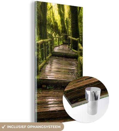 MuchoWow® Glasschilderij 20x40 cm - Schilderij acrylglas - Mooi regenwoud en jungle - Foto op glas - Schilderijen