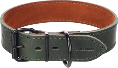 Hond Halsband Montana Groen XL 49-59cm 40mm