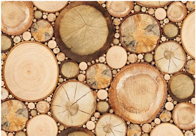 Fotobehang - Wood grains.