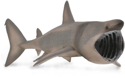 COLLECTA Figurine - Reuzenhaai - (Xl) - Zeedieren - Handgeschilderd - Miniatuur