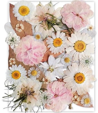 Gedroogde Persbloemen Set voor DIY Projecten - 37 Stuks Natuurlijke Bloemen voor Kaarsen, Nagels en Zeep