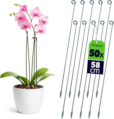 KADAX bloemensteunen 58 cm, set van 50, orchideeënstokken voor het stabiliseren van stengels en bloemen, plantenstokken van glasvezel en kunststof, klimsteun voor orchideeën