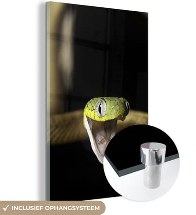 MuchoWow® Glasschilderij 120x180 cm - Schilderij acrylglas - Slang - Dier - Zwart - Foto op glas - Schilderijen