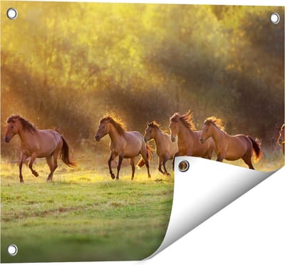 Gards Tuinposter Kudde Bruine Paarden in de Wei - 50x40 cm - Tuindoek - Tuindecoratie - Wanddecoratie buiten - Tuinschilderij