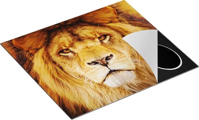 Chefcare Inductie Beschermer Leeuw - Leeuwenkop - 60x50 cm - Afdekplaat Inductie - Kookplaat Beschermer - Inductie Mat