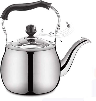 Waterketel Fornuis - Theeketel RVS - Snel Water Koken - Fluit bij Kookpunt - 2.5 Liter - Zilver
