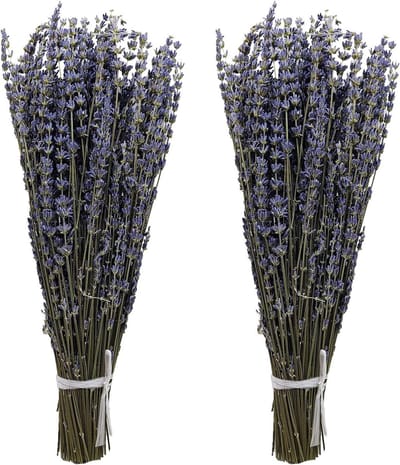 Natuurlijke Gedroogde Lavendel Bossen 40 cm - Perfect voor Thuis, Bruiloft en Bloemdecoratie