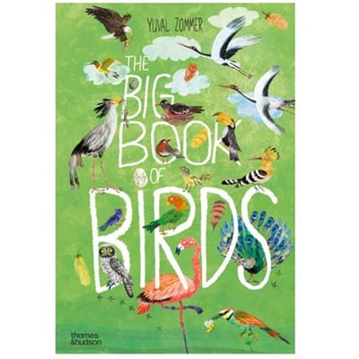 The Big Book Of Birds - The Big Book Series - Yuval Zommer