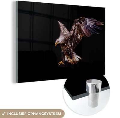 MuchoWow® Glasschilderij 120x80 cm - Schilderij acrylglas - Adelaar - Vogel - Veren - Foto op glas - Schilderijen