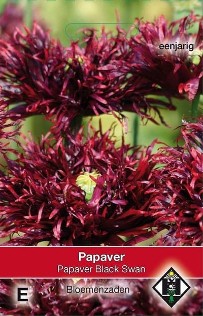 2 stuks Van Hemert & Co Papaver somniferum Black Swan
