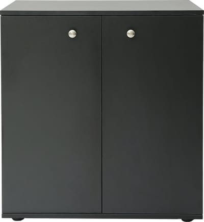 Archiefkast dressoir - opbergkast multifunctioneel - zwart
